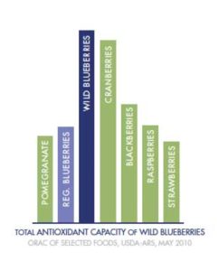 Berry Antioxidant Chart
