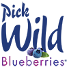 Pick Wild Blueberries