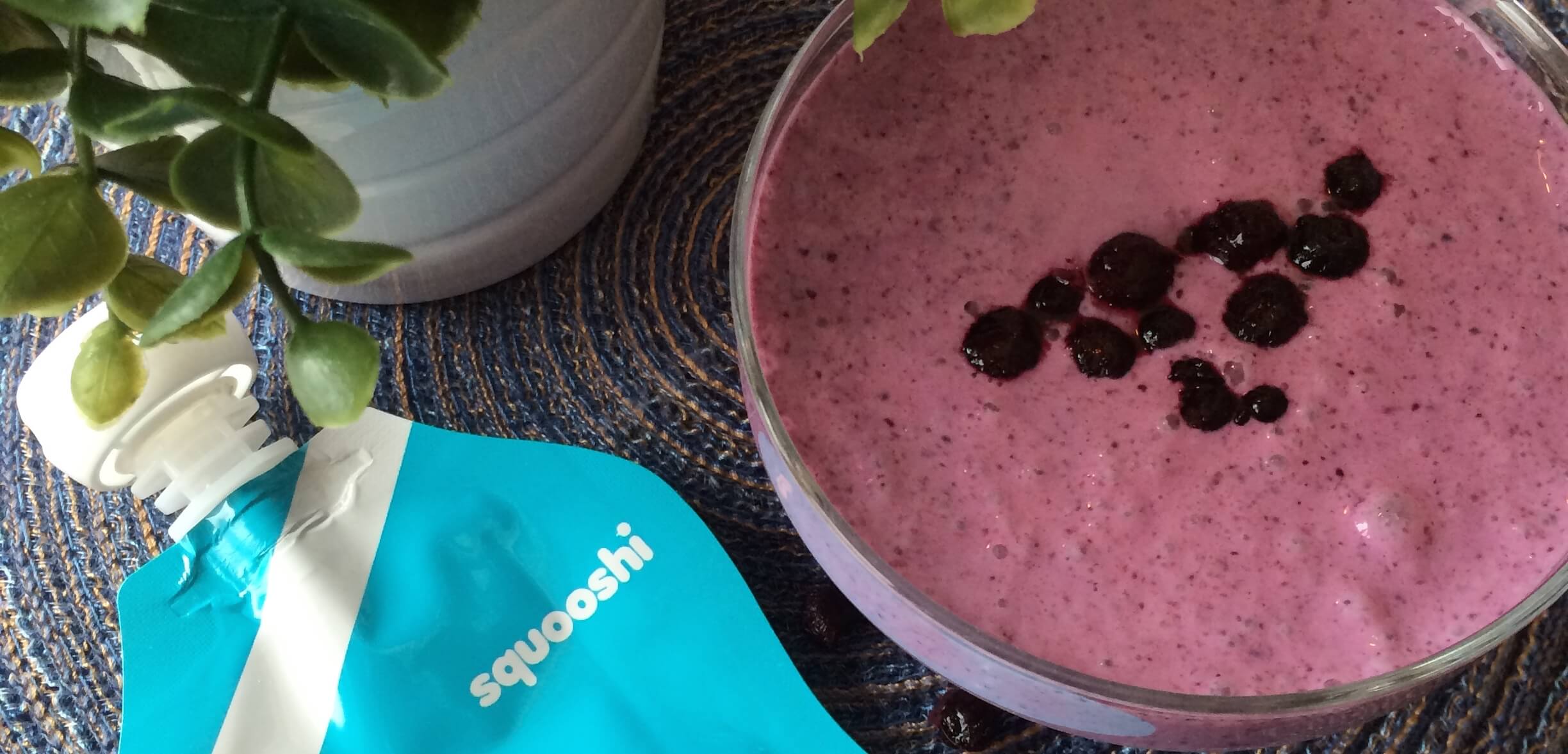 Mia’s Wild Blueberry & Honey Yogurt Recipe