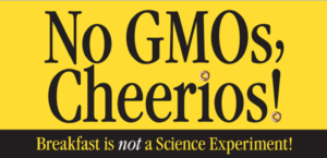 No GMOs in Cheerios