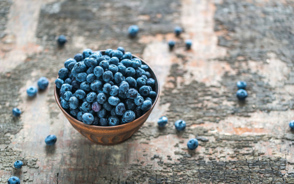 Bowl of fresh wild blueberries