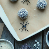 Spooky Wild Blueberry Boo-Berry Snack Balls