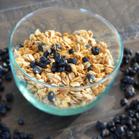 Dried Wild Blueberry and Almond Granola