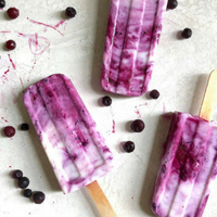 Wild Blueberry Coconut Yogurt Pops