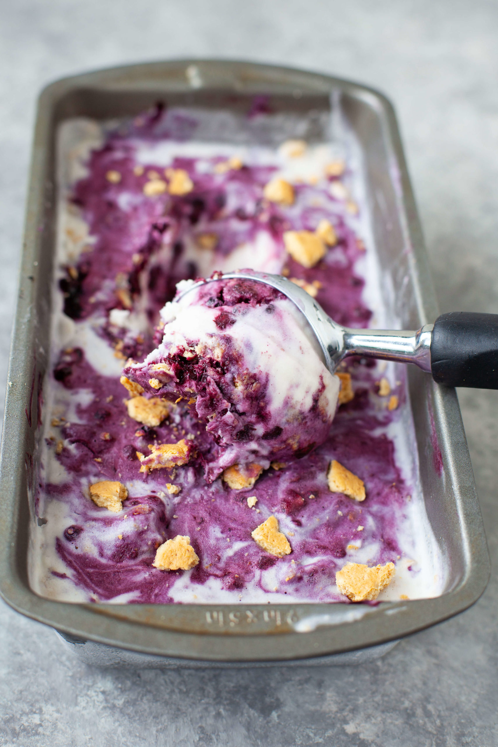 Wild Blueberry Graham Coconut Milk Ice Cream Recipe Wild Blueberries