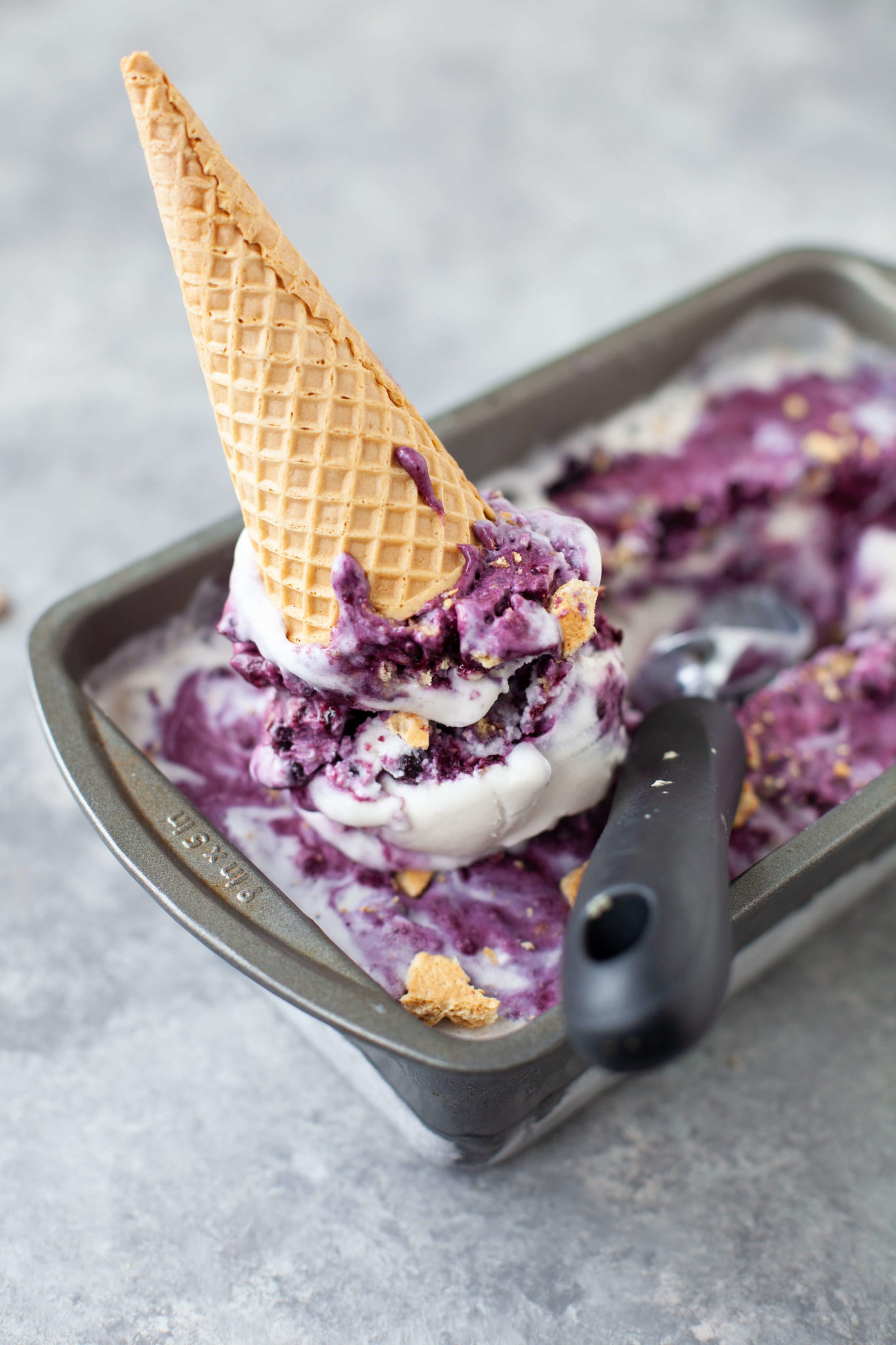 4 Easy Wild Blueberry NoChurn Ice Cream Recipes Wild Blueberries