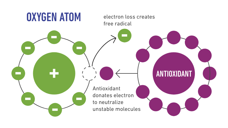 How antioxidants work