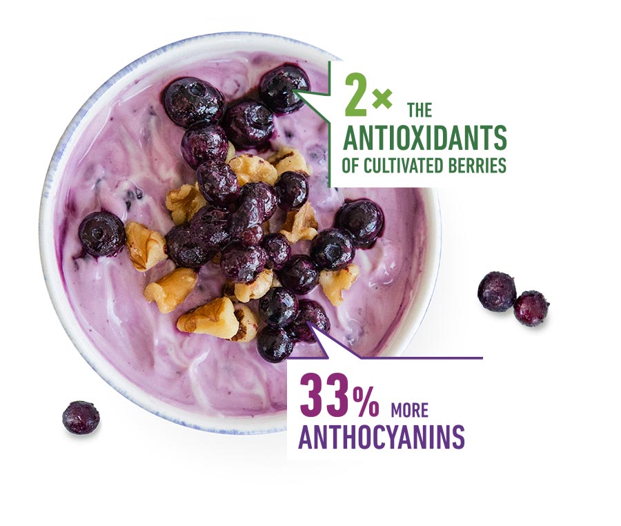 III. The Nutritional Profile of Blueberries