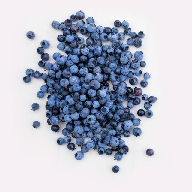 Why Wild Blueberries Are The Better Blueberry Wild Blueberries