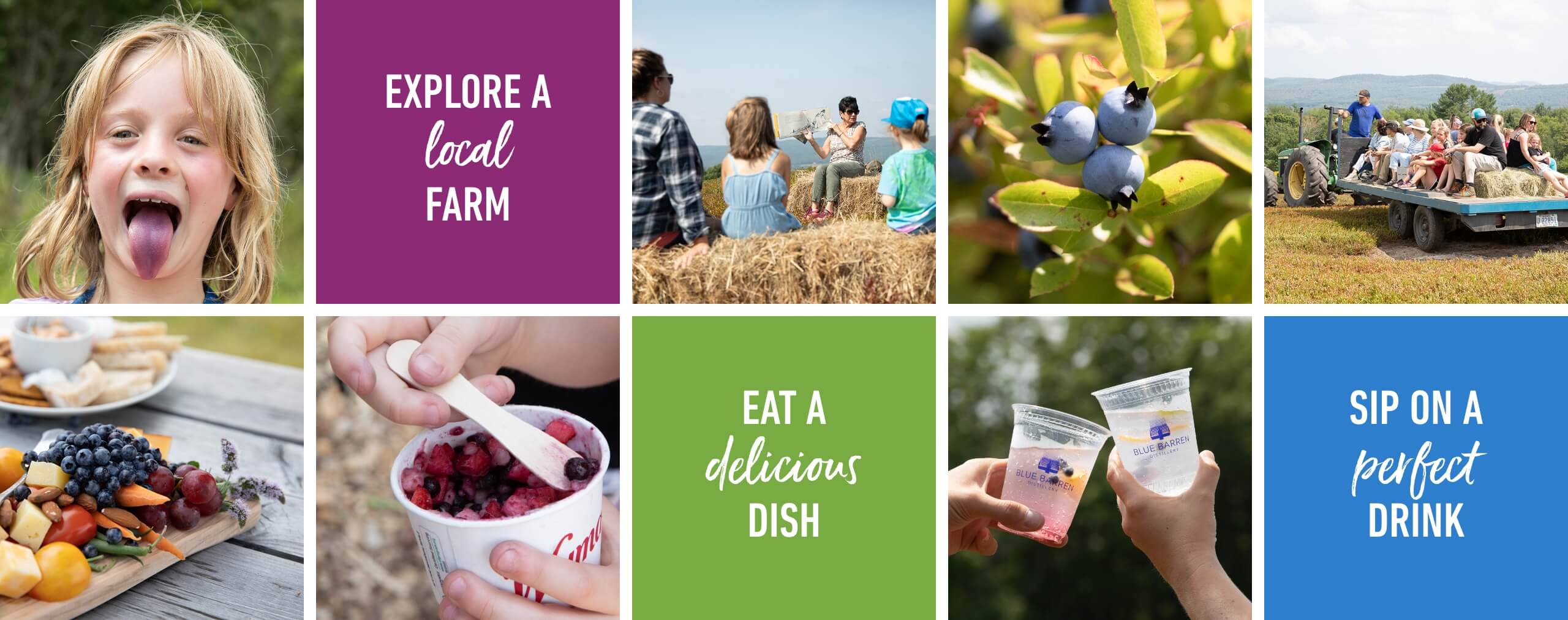 Explore a local farm, eat a delicious dish, and sip on a perfect drink at Wild Blueberry weekend