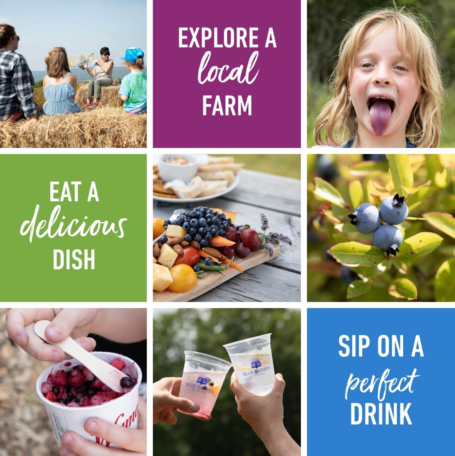 Explore a local farm, eat a delicious dish, and sip on a perfect drink at Wild Blueberry weekend